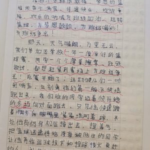 篮球训练心得300字左右怎么写